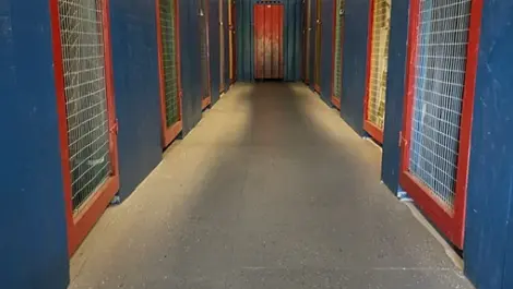 Indoor storage units at Big Pine Storage.